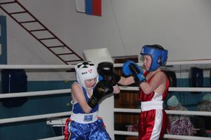 Открытое первенство по боксу прошло в Великих Луках (ФОТО)