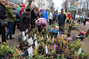 В Великих Луках проходит Весенняя ярмарка