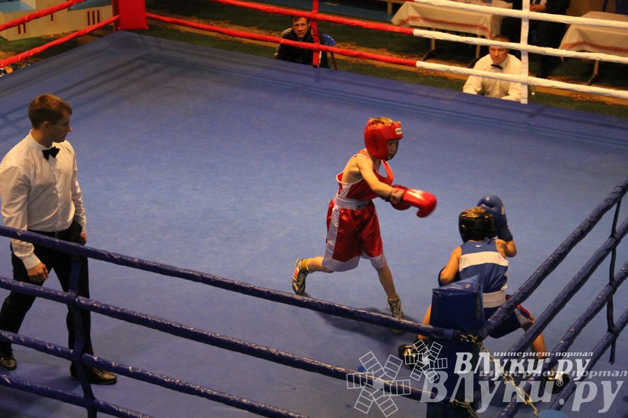 Открытие 16-го  Международного турнира по боксу