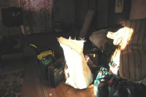 В Псковской области полиция изъяла у двоих граждан крупную партию наркотиков, а также оружие и боеприпасы (ФОТО)