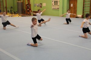 В Великих Луках прошло Первенство города по командной гимнастике (ФОТО)