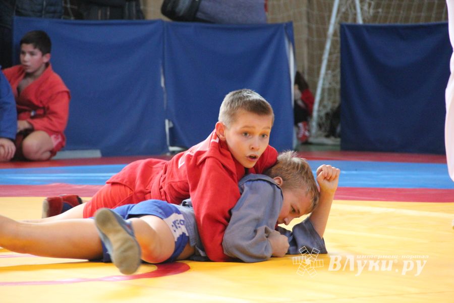 Великолучане завоевали награды турнира по самбо «Память» (ФОТО)
