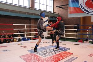 В Великих Луках прошел международный открытый Кубок по смешанному боевому единоборству (ФОТО) (16+)