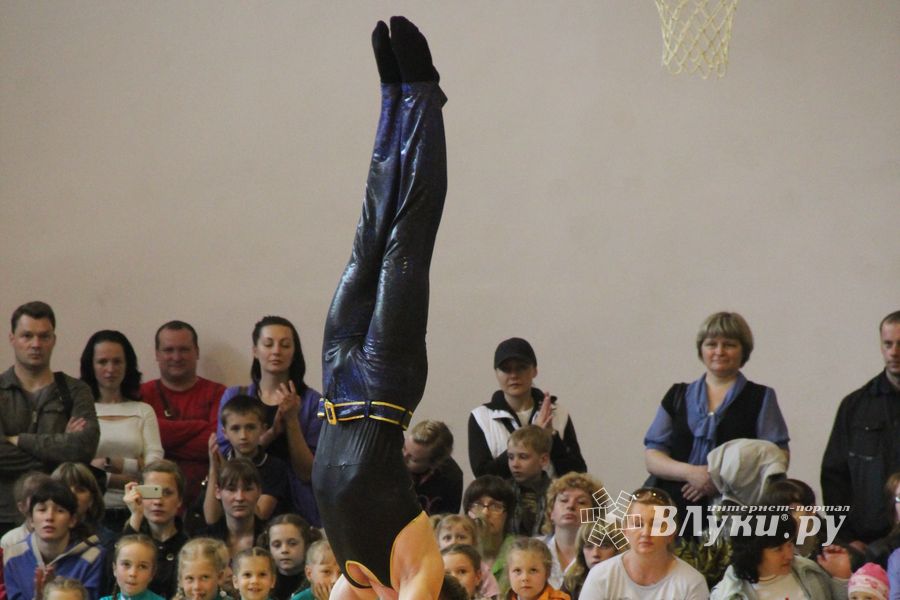 Парад гимнастики