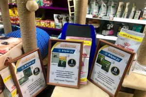 Подведены итоги фотоконкурса «Мурлето» (ФОТО)