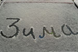 Зима. Начало