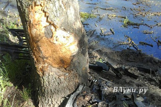 ДТП на Л. Чайкиной в Великих Луках (ФОТО)