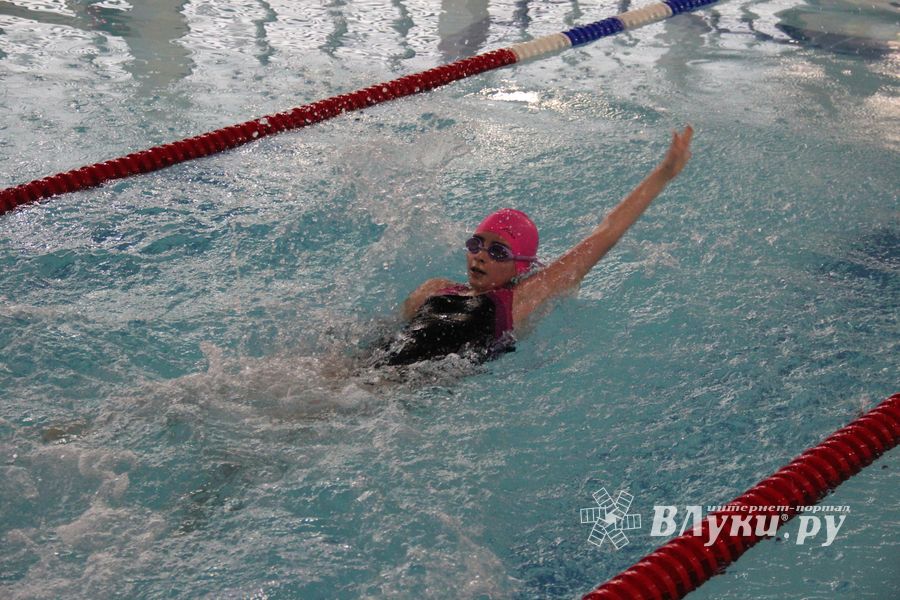 В Великолукском Айсберге прошли соревнования по плаванию на призы Деда Мороза (ФОТО)