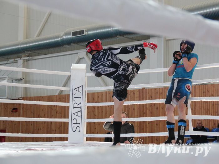 В Великих Луках проходит открытый кубок по смешанному боевому единоборству ММА (ФОТО) (12+)