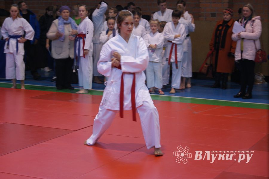 В Великих Луках прошли соревнования по каратэ (ФОТО)
