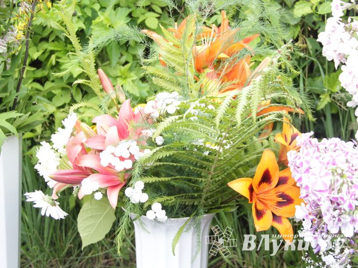 «Парад детских колясок» в День семьи, любви и верности (ФОТО)