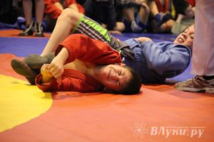 Великолучане стали первыми в общекомандном зачете турнира по самбо «Память»