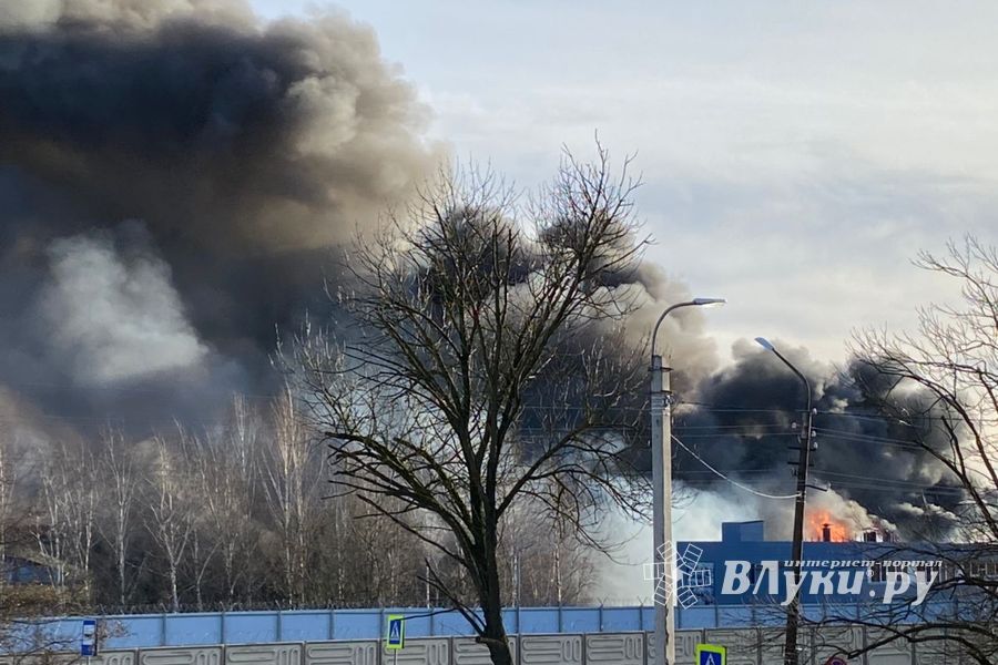 Очевидцы о новых подробностях пожара на заводе ЗЭТО (ФОТО; ВИДЕО)