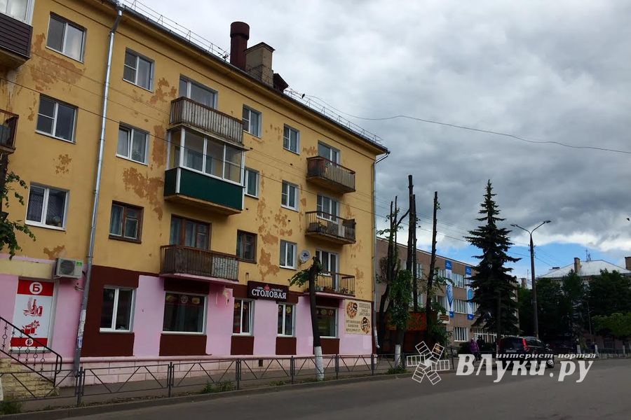 Великолукские тополя: пуха не будет (ФОТО)