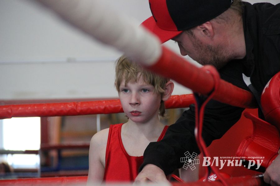 Юные великолучане выявили сильнейших боксёров (ФОТО)