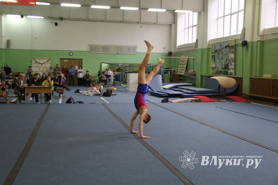 В Великих Луках прошло Первенство города по спортивной гимнастике (фото)