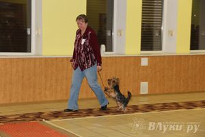 Всероссийская выставка собак в Великих Луках (фото)