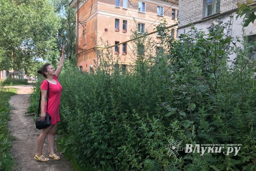 Пора приглашать англичан в Великие Луки (ФОТО)