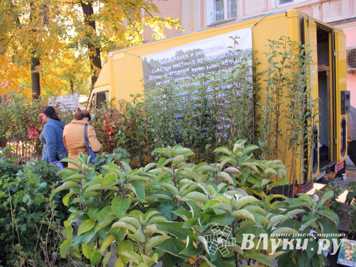 Торговая ярмарка «Осень-2016» прошла в Великих Луках (ФОТО)