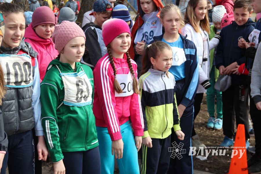 В Великих Луках прошёл легкоатлетический кросс (ФОТО)
