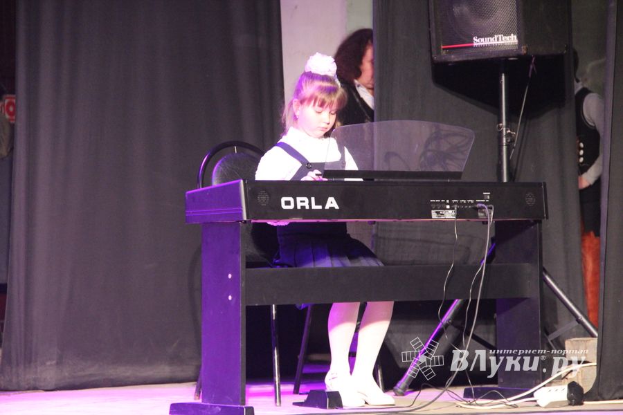 В Великих Луках отметили День матери (фото)