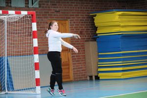 В Великих Луках прошел областной этап по мини-футболу среди девочек (фото)