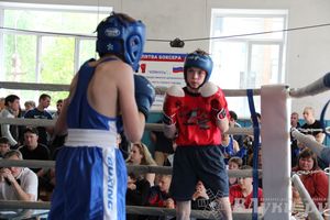 Первенство города по боксу