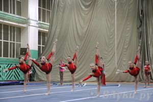 «Парад гимнастики» прошел в Великих Луках (фото)