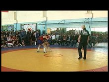 Импульс-ТВ: Чемпионат области по смешанным боевым искусствам