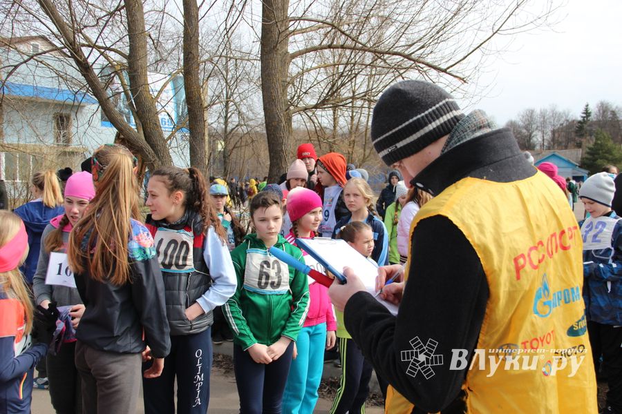 В Великих Луках прошёл легкоатлетический кросс (ФОТО)