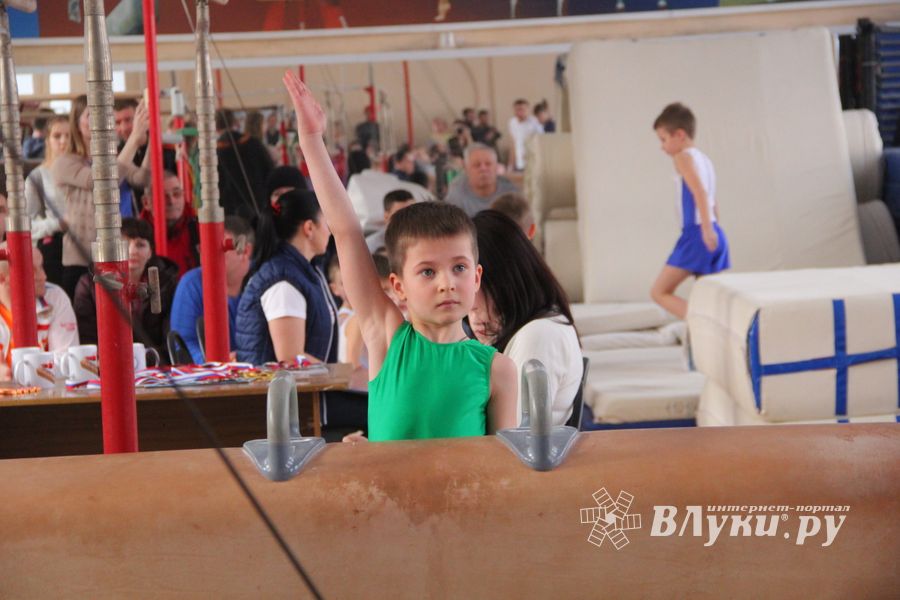 В ДЮСШ «Атлетика» прошли соревнования по спортивной гимнастике (ФОТО)