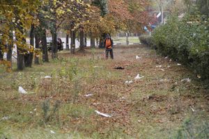 Октябрь: в Великих Луках продолжается покос (ФОТО)