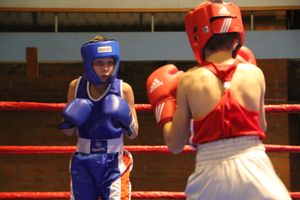 В Великих Луках проходят соревнования по боксу памяти Е.А. Клевцова (фоторепортаж)