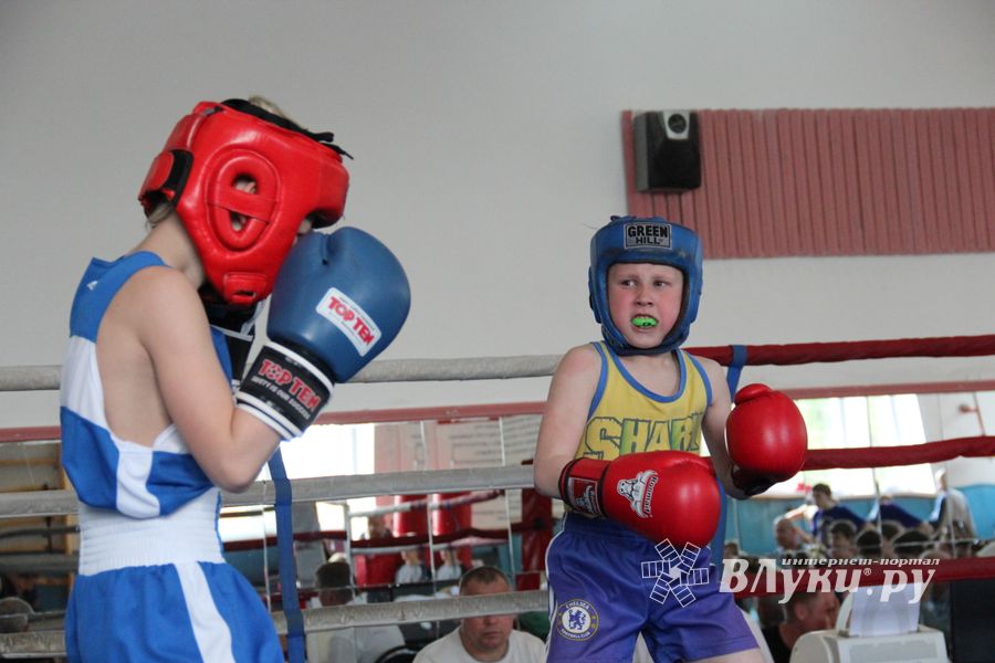 В Великих Луках прошло Первенство города по боксу (ФОТО)