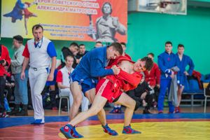 Фото: Александр Воробьев Великолучане завоевали награды Всероссийских соревнований по самбо