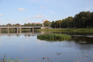 В Великих Луках прошёл «Кросс Нации-2018» (ФОТО)