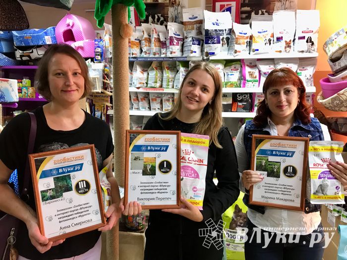 Подведены итоги фотоконкурса «Мурлето» (ФОТО)