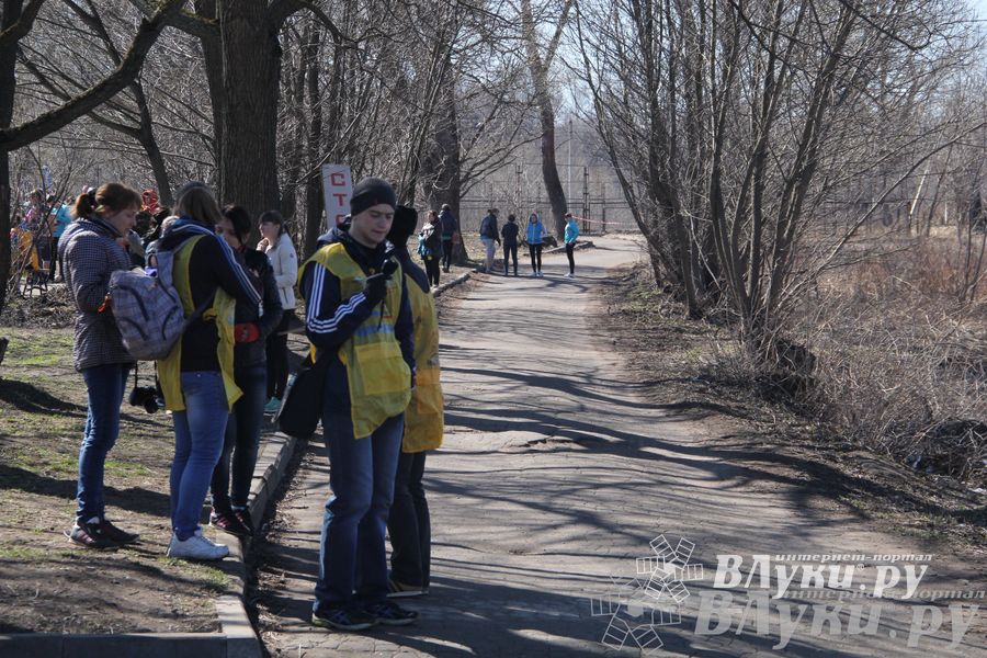 Весенний кросс