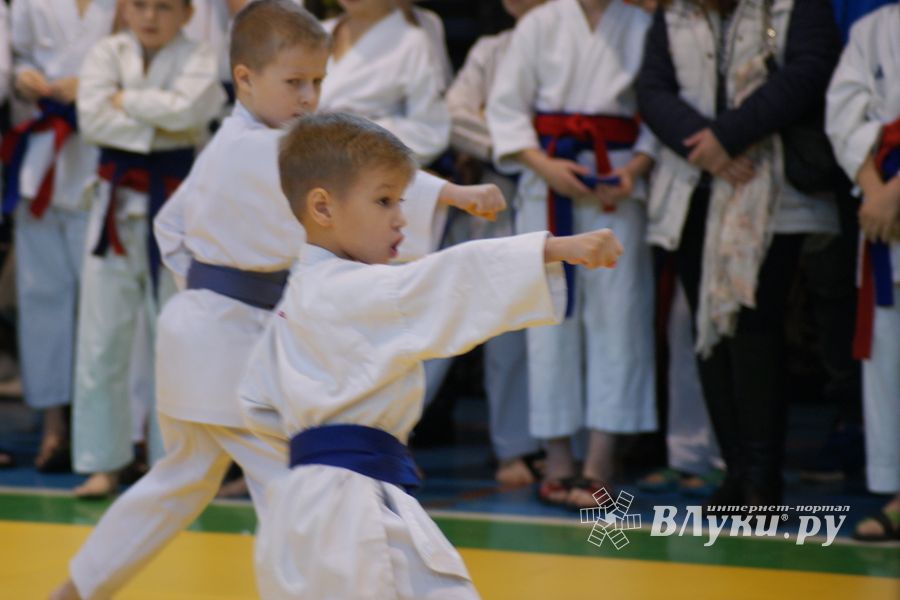 В Великих Луках прошли соревнования по каратэ (ФОТО)