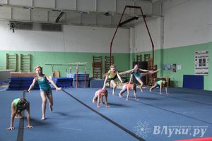 В Великих Луках состоялось Первенство по командной гимнастике (фото)