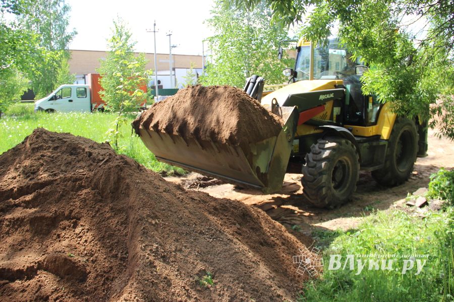 Идёт благоустройство Аллеи памяти 6-й роты в Великих Луках (ФОТО)