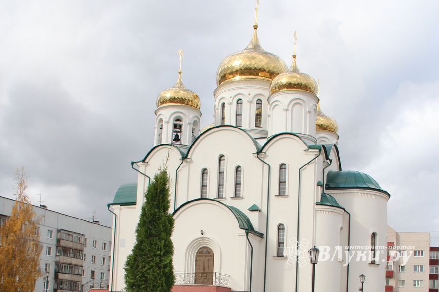 Куда исчезли пихты у Свято-Вознесенского собора в Великих Луках