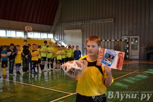 XII Традиционный Международный открытый турнир по мини-футболу среди юношей 2001-2002 г. р.