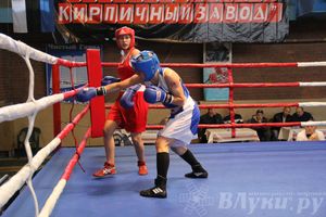 16-й Международный турнир по боксу (фото)