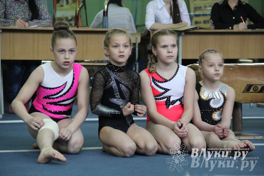 В Великих Луках прошел турнир по спортивной гимнастике (фото)