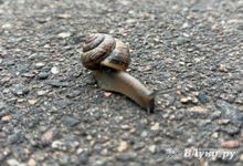 Прогноз погоды на 23 мая в Великих Луках