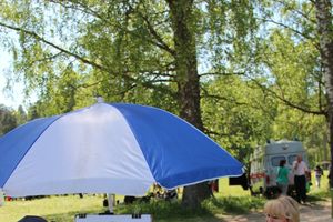 Праздник поэзии