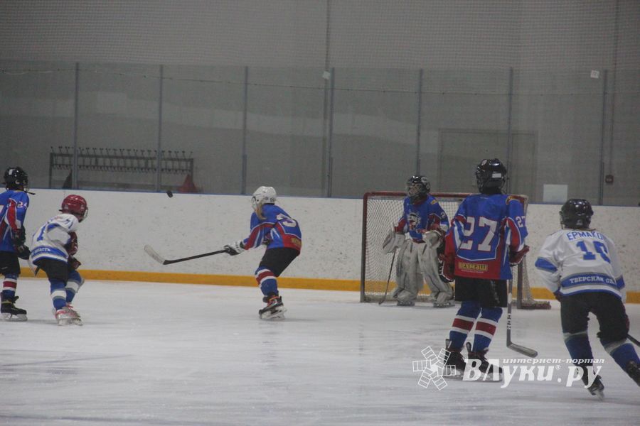 В Великих Луках прошел детский Открытый турнир по хоккею (ФОТО)