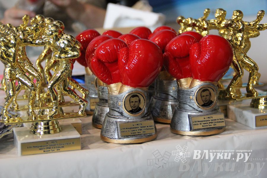 3-й день соревнований Международного турнира по боксу