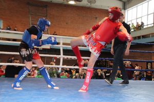 I Открытый кубок Псковской области по тайскому боксу прошел в Великих Луках (ФОТО)